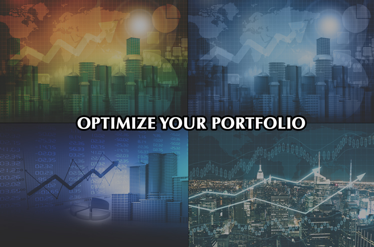 Commercial Real Estate Portfolio Optimization